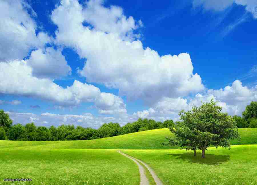 新疆农业职业技术大学校花苏晚晴