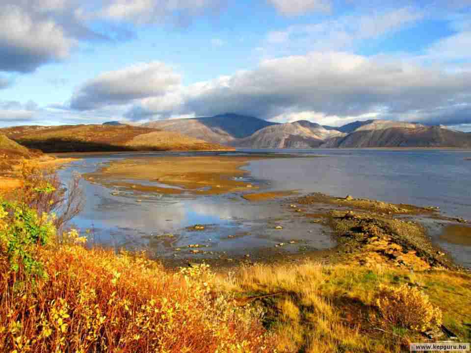 甘肃农业职业技术学院校花郝云溪