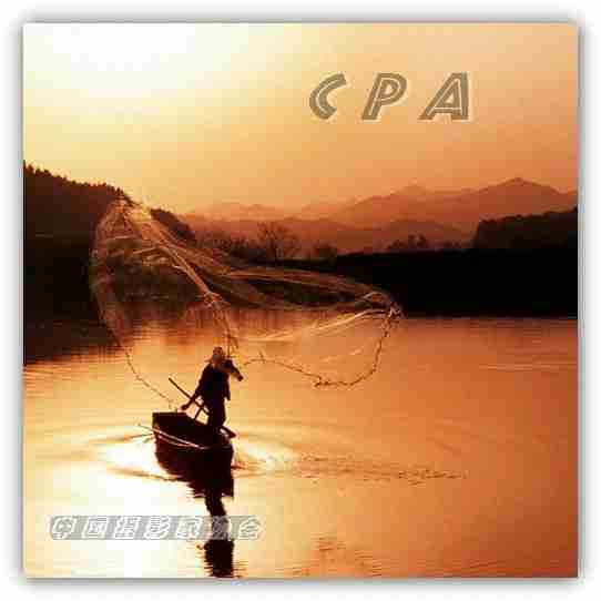 南京特殊教育师范学院校花江晚柠 南京特殊教育师范学院校花江晚柠